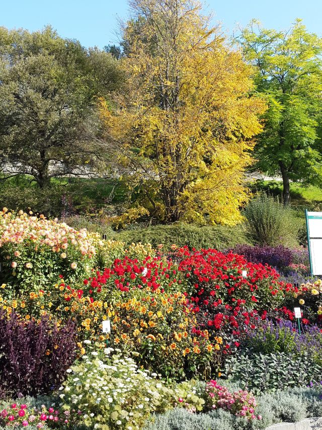 Herbst auf Mainau