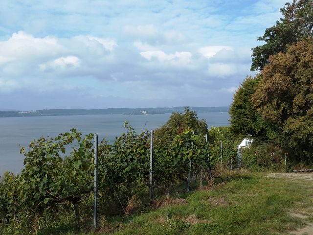 Weinwanderweg in Meersburg