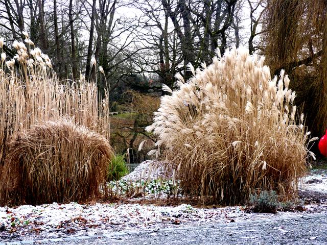 Winterlandschaften_11